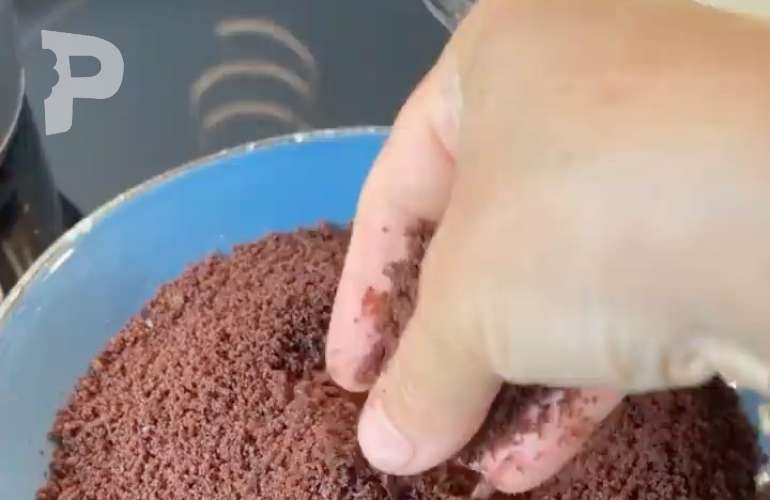 Kakaolu Muzlu Köstebek Pasta Yapımı